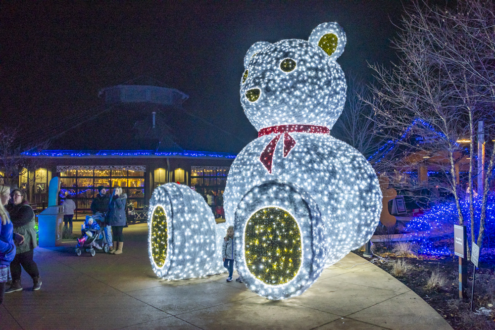Wild Winter Lights at the Cleveland Metroparks Zoo
