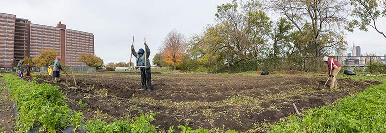 <span class="content-image-text">Ohio City Farm’s workers from The Refugee Empowerment Agricultural Program</span>