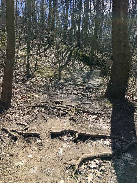 The natural paths are easily navigable, but watch for tree limbs and muddy ruts.