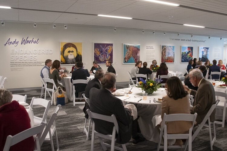 The Corning Gallery, a new home for rotating exhibits that highlight the intersection of art and nature