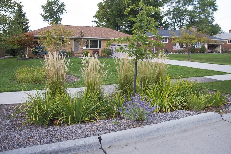 Rain garden project along Park Haven Dr. in Parma