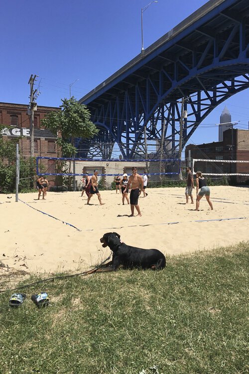 If you opt to venture along the Cleveland Foundation Centennial Lake Link Trail, you might run into some volleyball enthusiasts at Mulberry's.