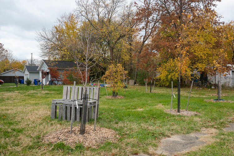 Gwen Garth garden on 36th and Central in the Central neighborhood