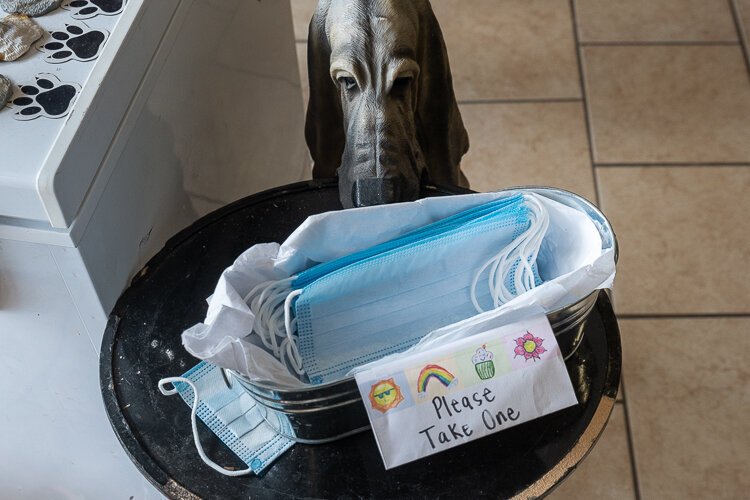 Free masks for customers at Pet-Tique