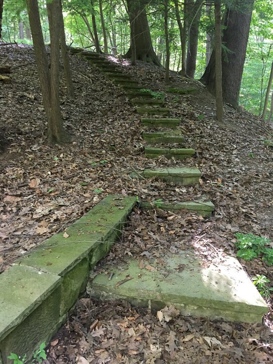 Frances Payne Bolton’s Lyndhurst home taken in 2020