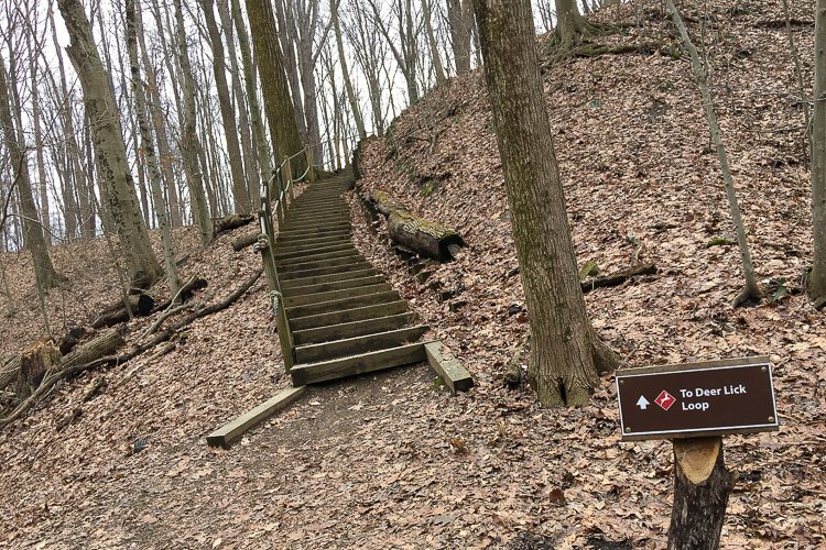 ... and 60 steps back up!