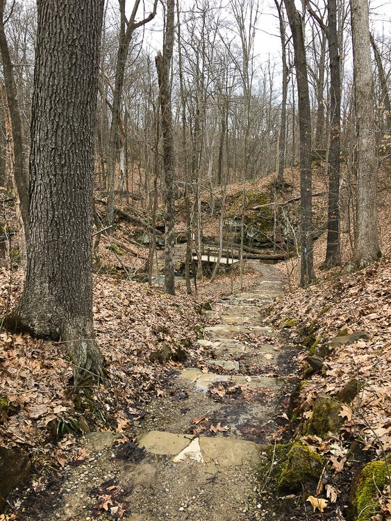 Stone steps lead down to the Deer Lick Cave area.