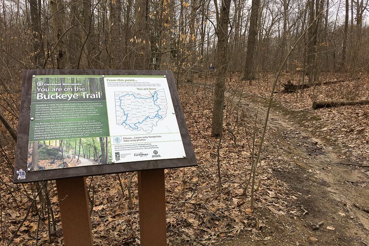 Deer Lick Loop coincides with a portion of the Buckeye Trail.