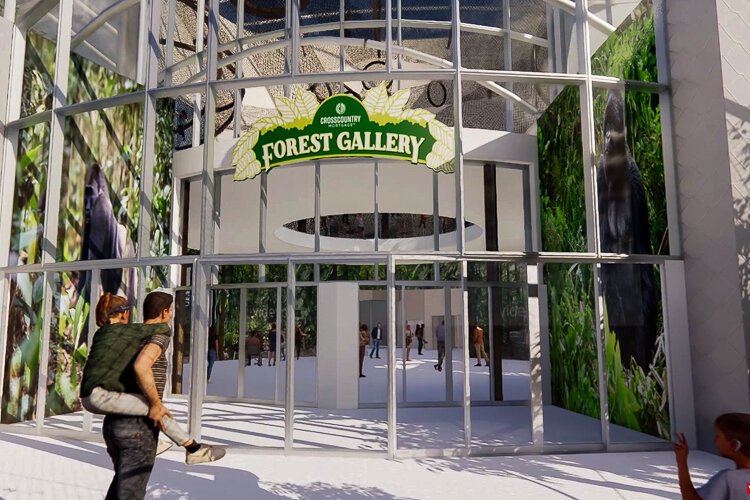 Conceptual rendering of CrossCountry Mortgage Forest Gallery