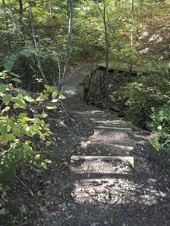A rustic stairway in the North Chagrin Reservation