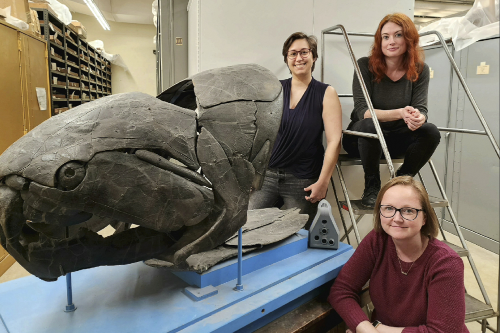CMNH Scientists Hailey Majewski, Digital Asset Manager, Dr. Caitlin Colleary, Associate Curator of Vertebrate Paleontology and Amanda McGee, Collections Manager of Vertebrate Paleontology (lower)