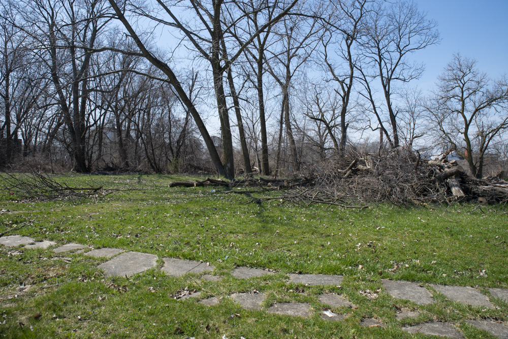 Part of the work of the Sustainable Cleveland Vital Neighborhoods team is doing is creating a roadmap conducive to sustainability for the vacant lots and for the land