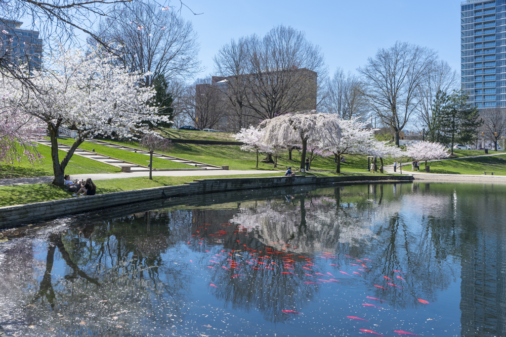 Wade Lagoon 
- Photo © Bob Perkoski, www.Perkoski.com