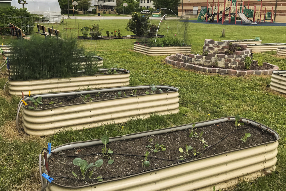 Kulture Kids Garden at Andrew J. Rickoff School