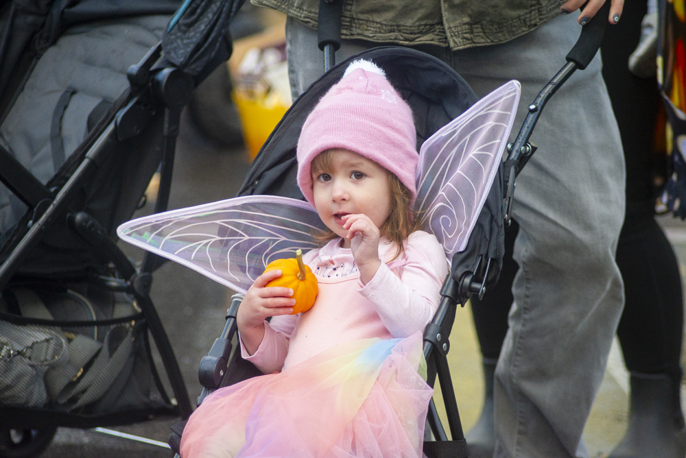 AutumnFest at the Nature Center at Shaker Lakes