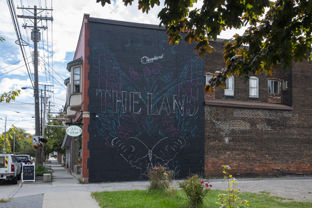 Murals Across the City Project - Kelle Schwab