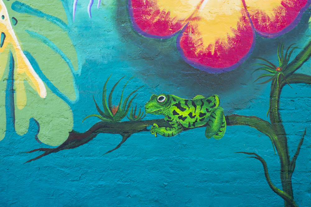 Guatemala mural detail