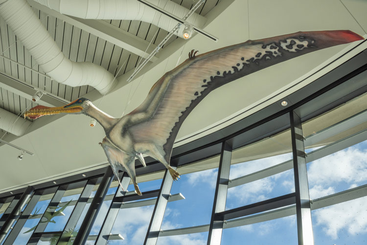 Larry Sears and Sally Zlotnick Sears Dynamic Earth Wing