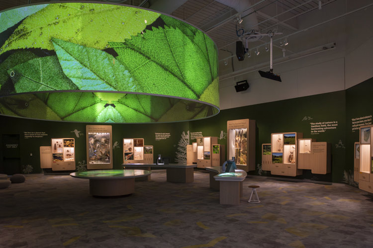 Ames Family Curiosity Center