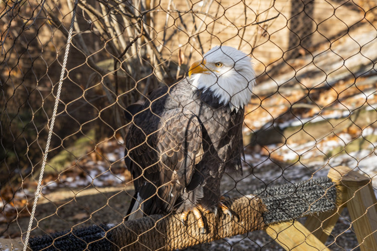 Ralph Perkins II Wildlife Center & Woods Garden