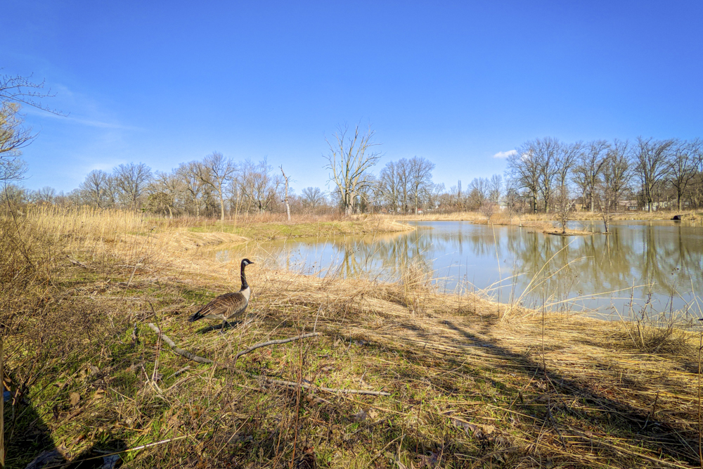 Oakwood Green Nature Preserve