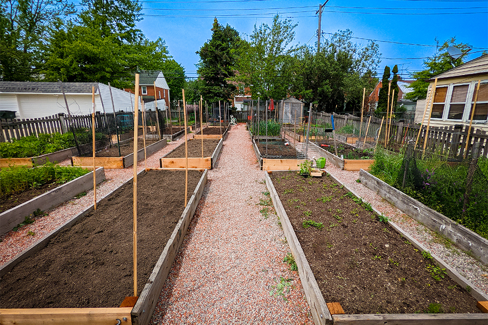 Warrendale Road Community Garden