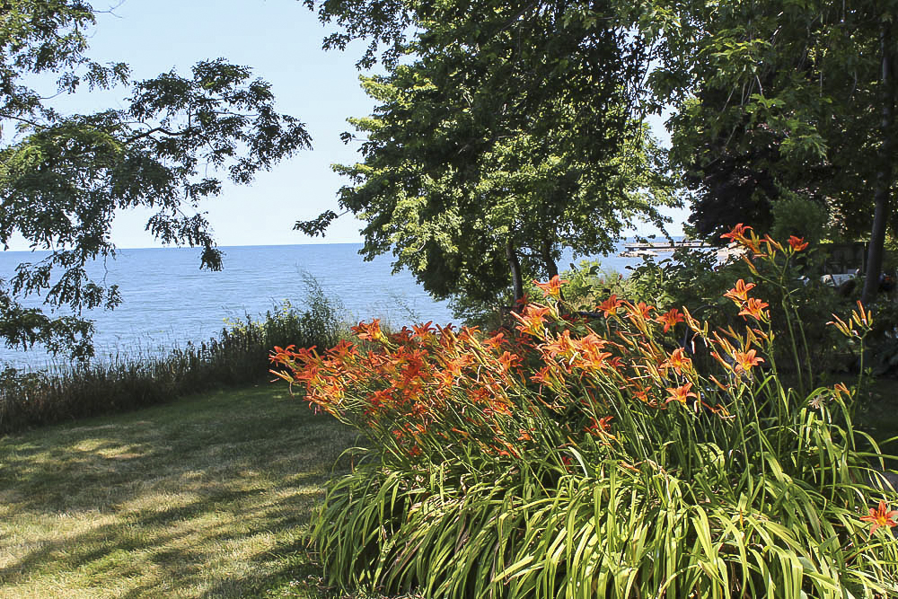 GardenWalk Collinwood 2022