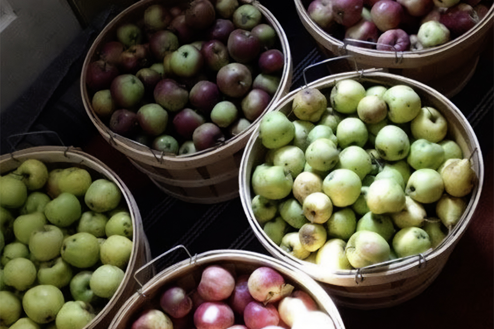 Friends of Cudell Orchards