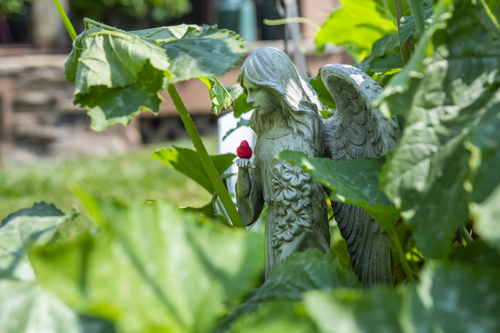 GardenWalk Cleveland - Old Brooklyn