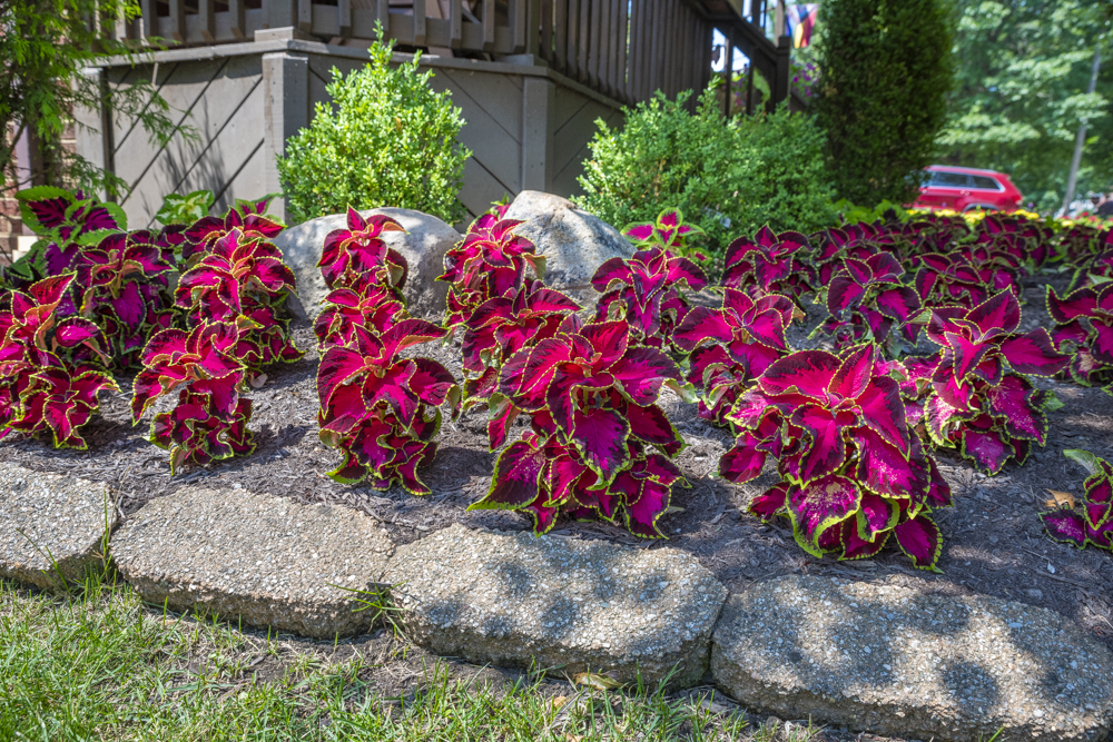 GardenWalk Cleveland - Old Brooklyn