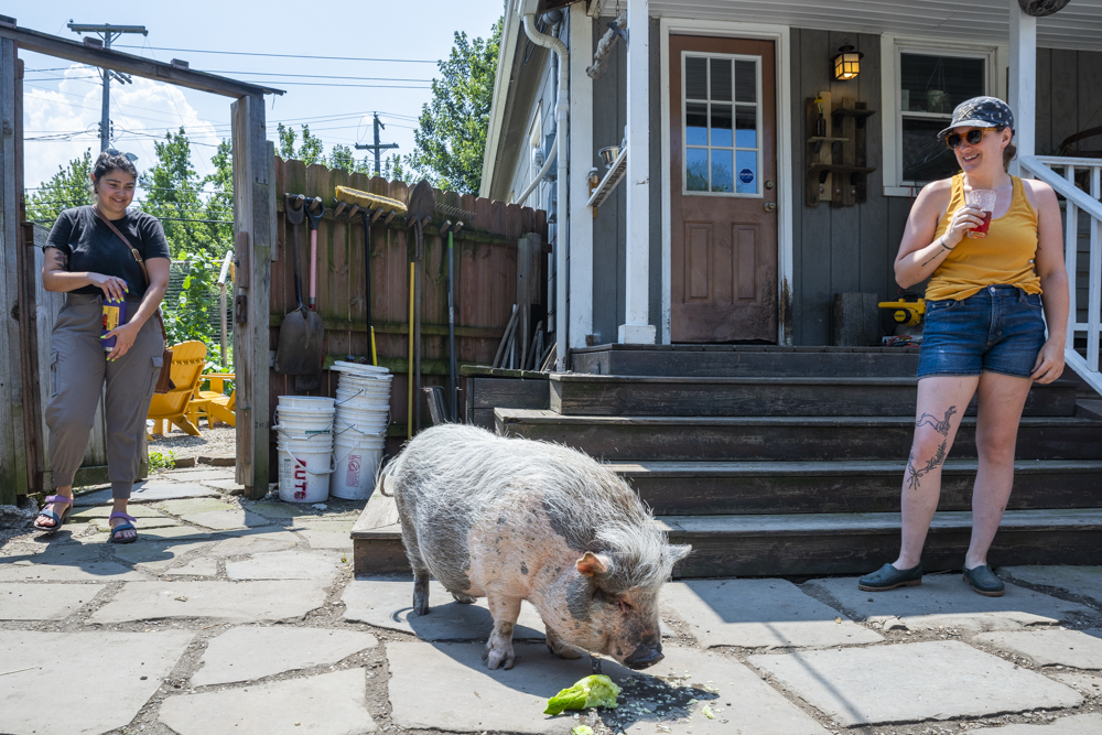 GardenWalk Cleveland - Ohio City