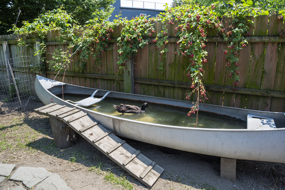 GardenWalk Cleveland - Ohio City