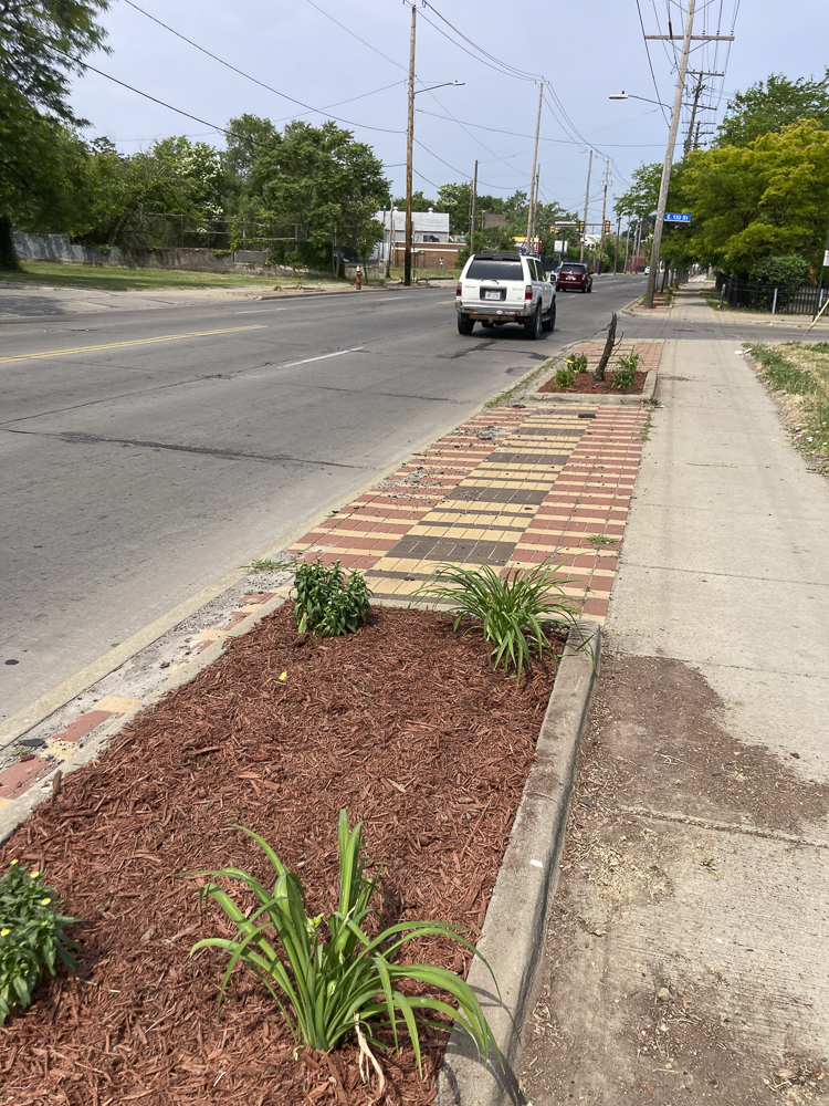 Beautification in Mt. Pleasant Neighborhood on June 3rd, 2024