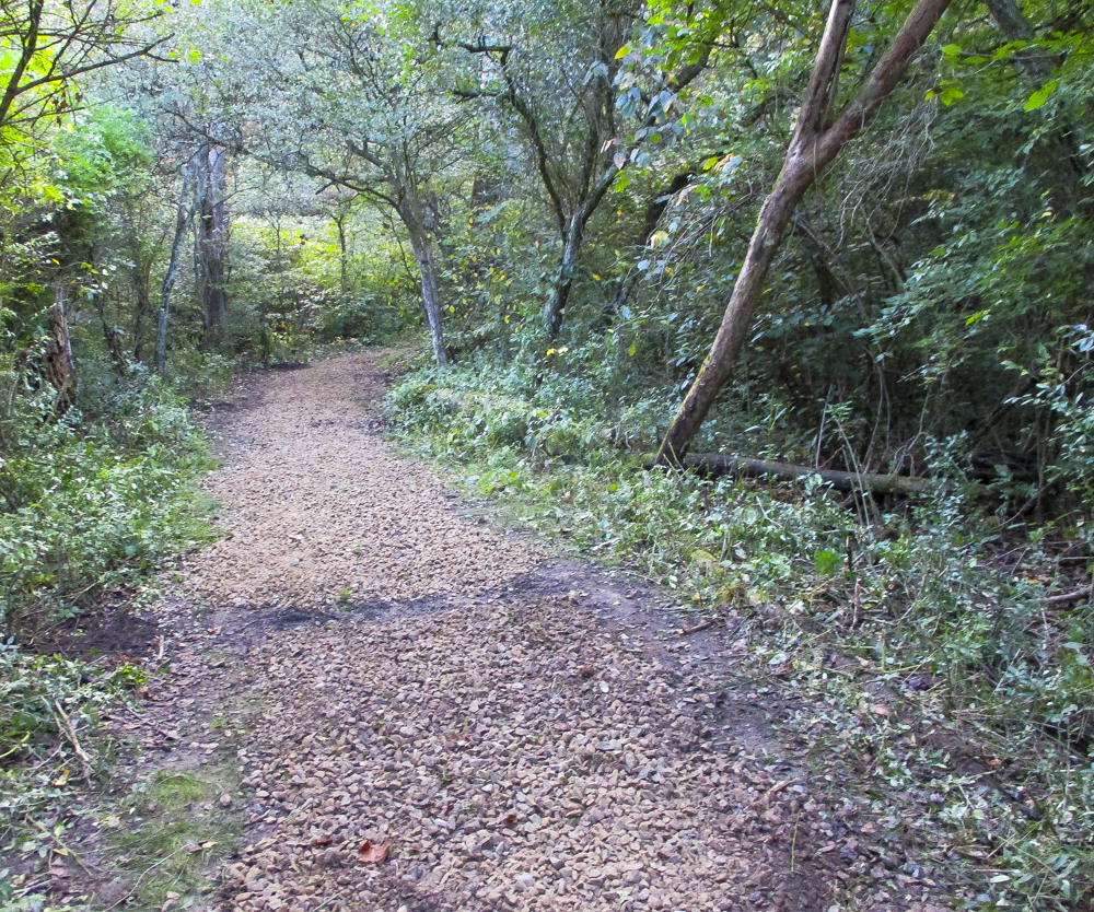 Salt Run Trail