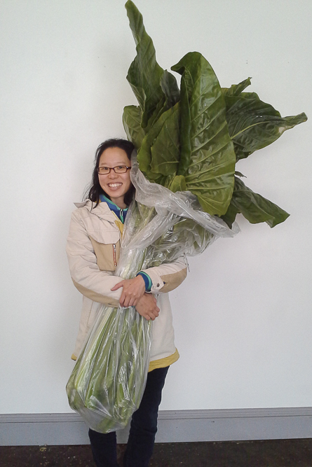 Artist Aimee Lee uses an array of different plants used for papermaking