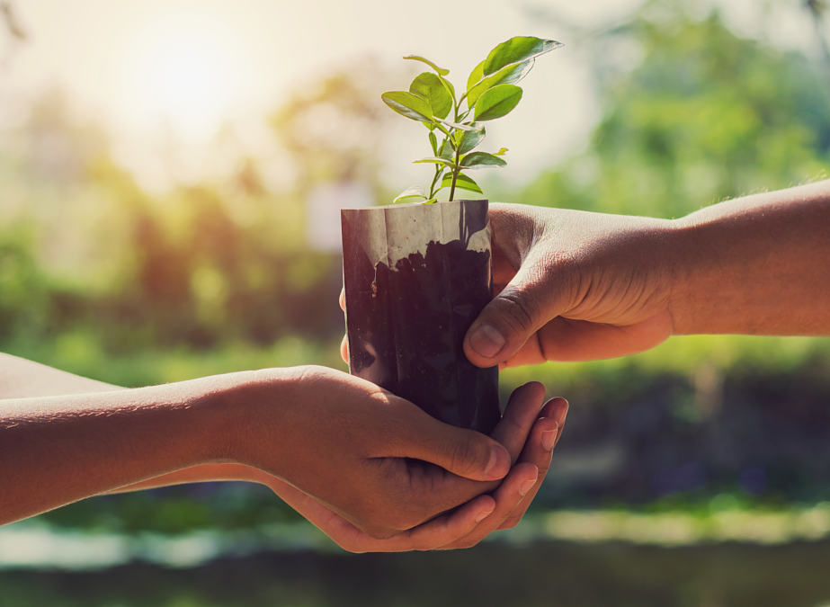HF&G 6th annual Arbor Day of Giving runs through Monday, April 28.