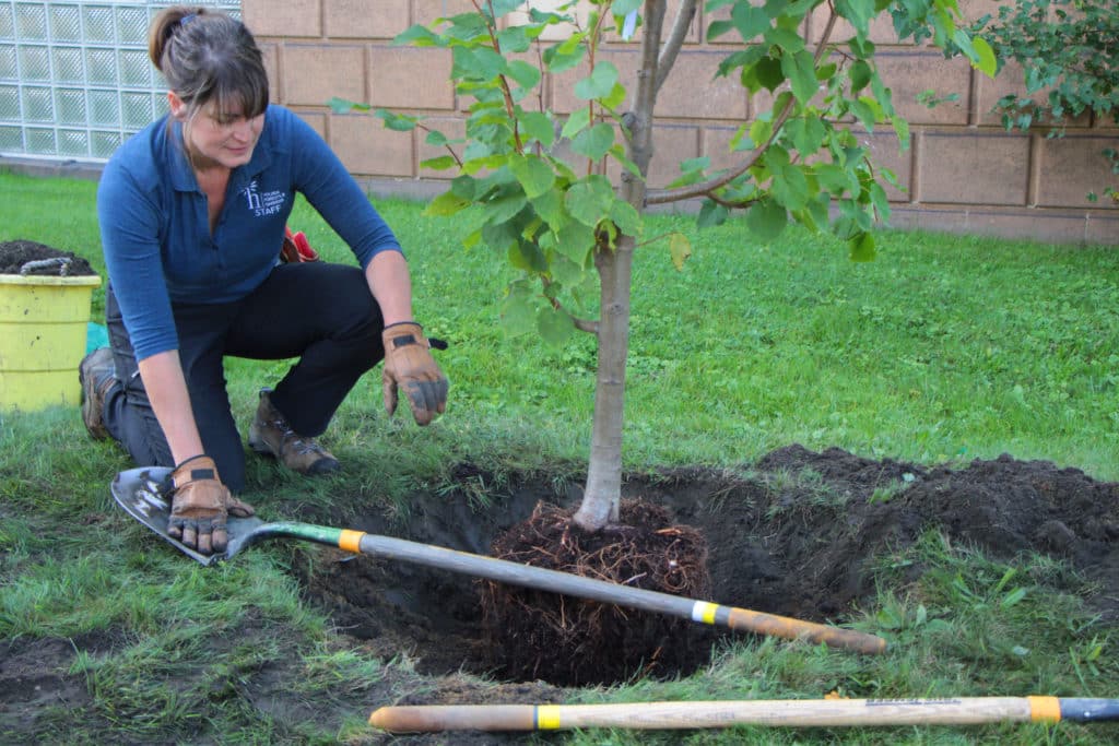 Holden Forests & Gardens' People for Trees initiative reached its 15,000 tree plantings goal.