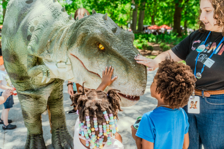Parade the Circle with Steggie