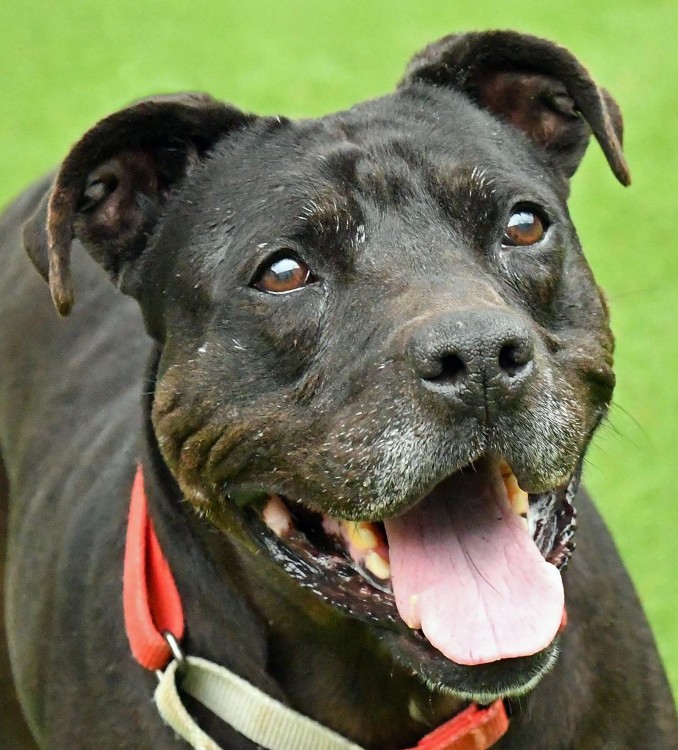 Luna ha been at the Cleveland APL for more than a year.