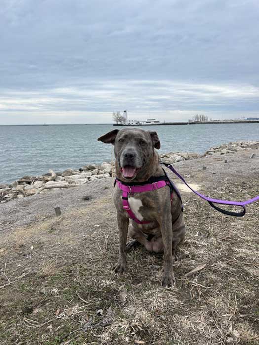 Lula on a beach field trip