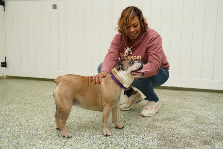 Paws Play founder Theresa Johnson and her Silky Terrier, Alayna