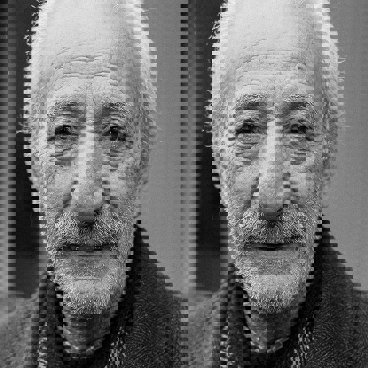 Humans Over Human Trafficking campaign