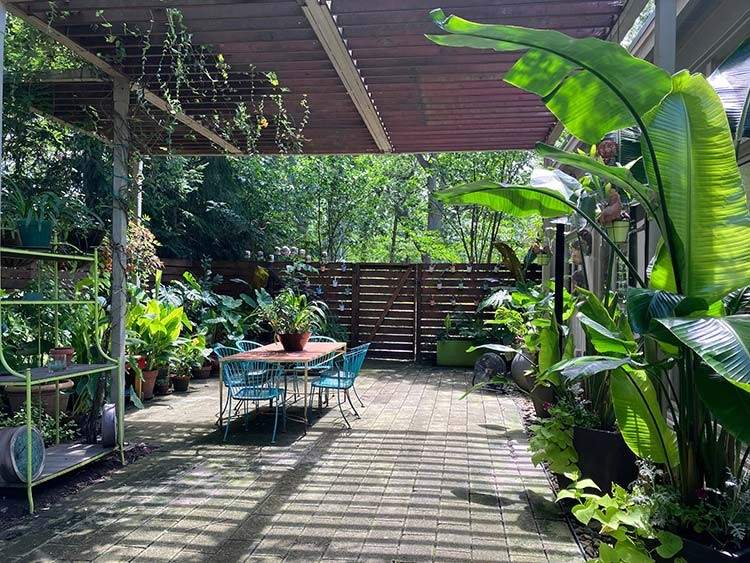 Lush Back yard patio on North Park Boulevard.