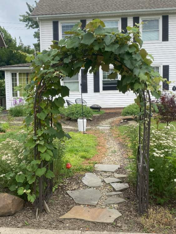 Welcome archway to a front garden on Yorkshire.