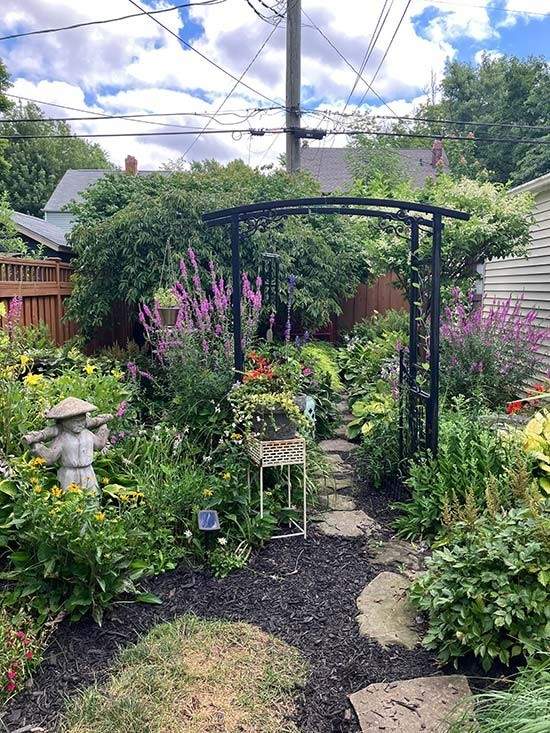 A backyard garden.