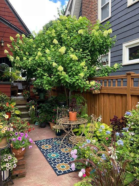 A backyard Cleveland Heights hideaway.