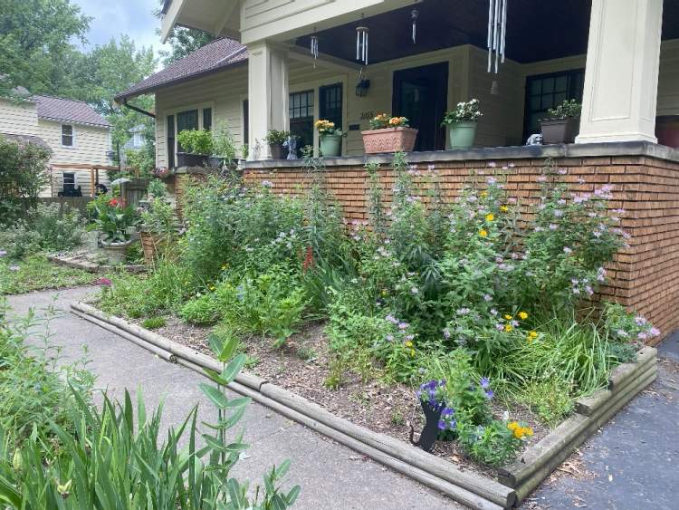 Native Perennial garden.
