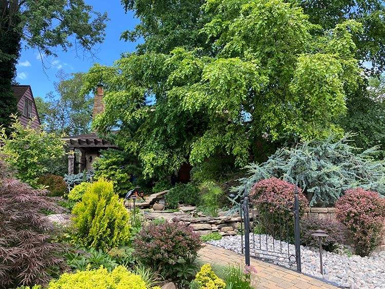 Summer color in Garden Walk Cleveland Heights founder Janet Kious's yard.