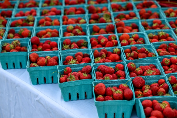 Fresh summer strawberries are in season.