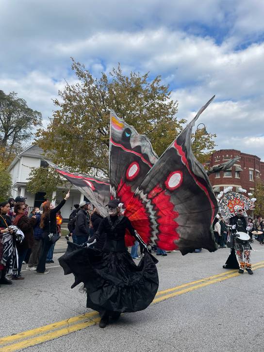 The colorful butterflies fluttered around Detroit Avenue.